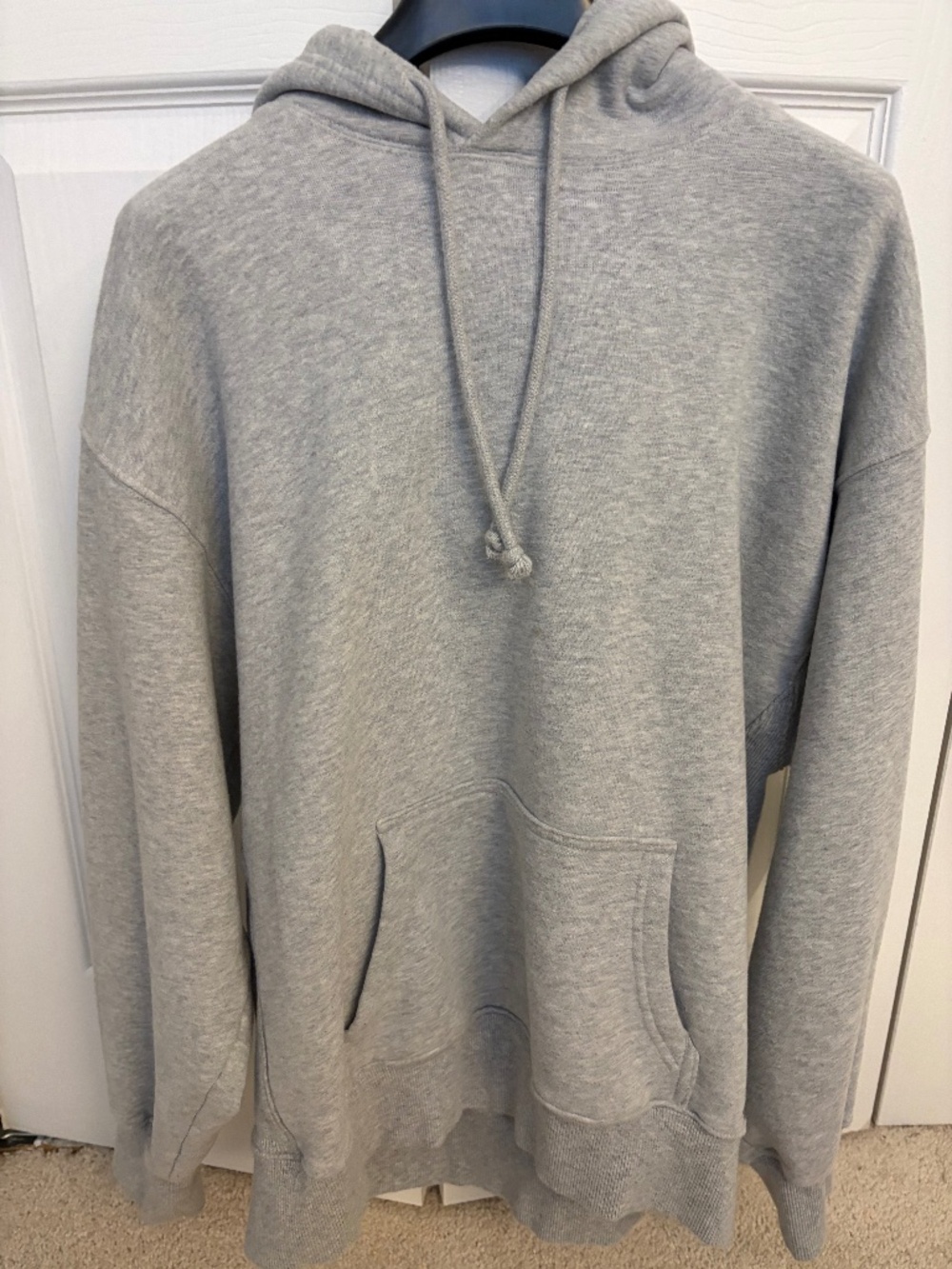 Aritzia TNA COZY FLEECE BOYFRIEND HOODIE